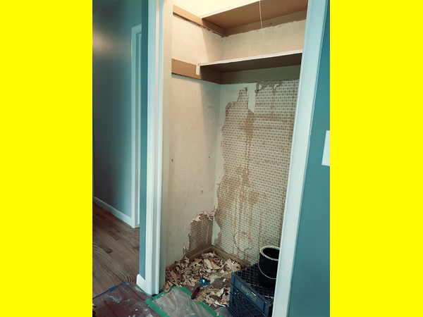 warm water, a 5-in-1 tool and 4 pints of elbow grease.